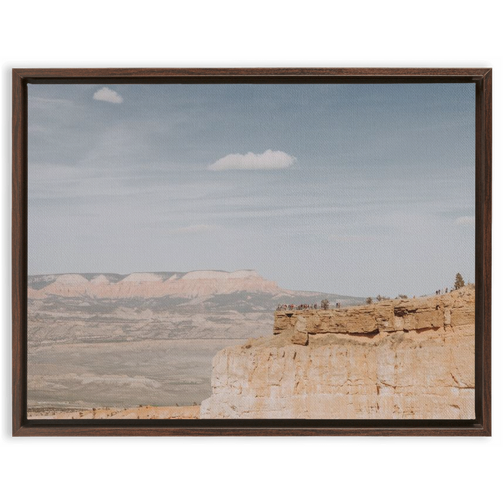 Grand Canyon Framed Canvas 3