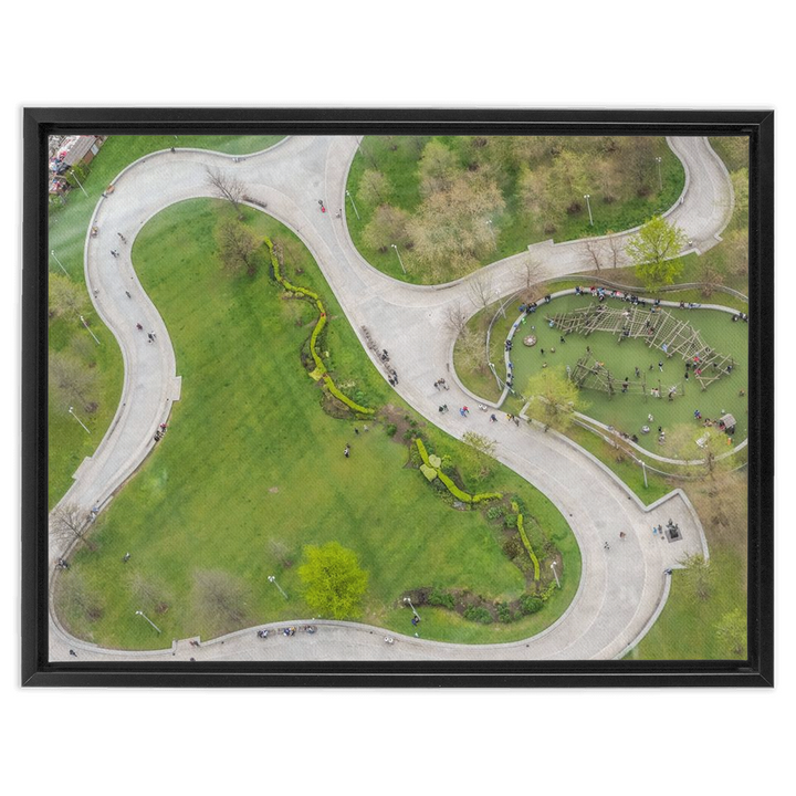 Park Life Canvas 6