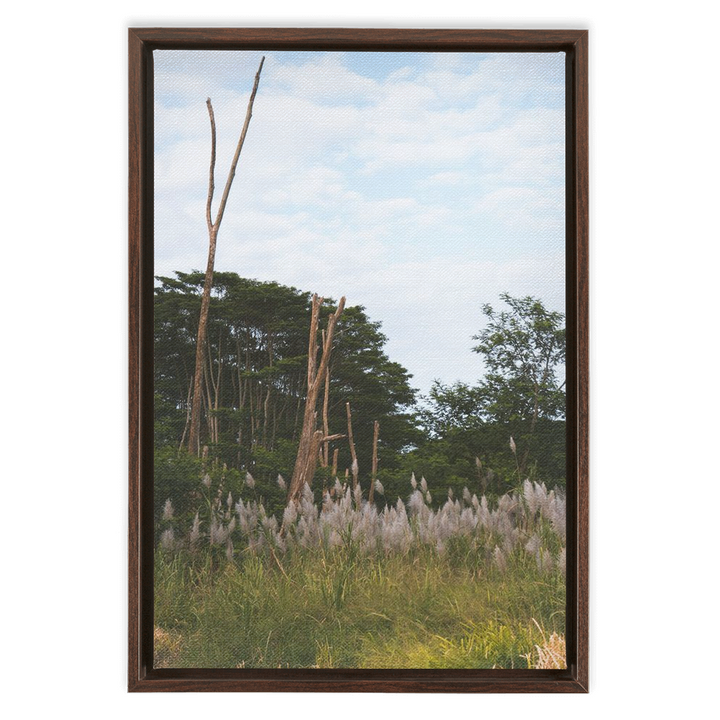 Meadow Framed Canvas 3