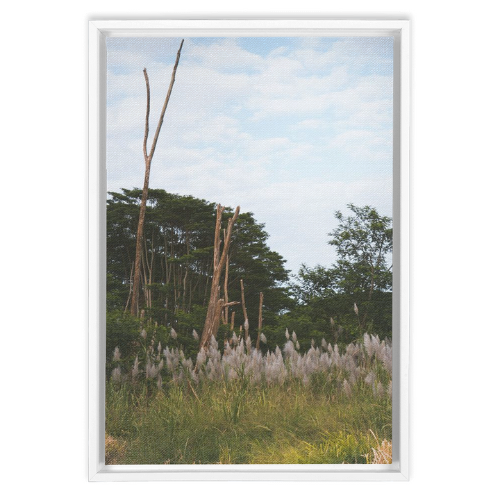 Meadow Framed Canvas 4