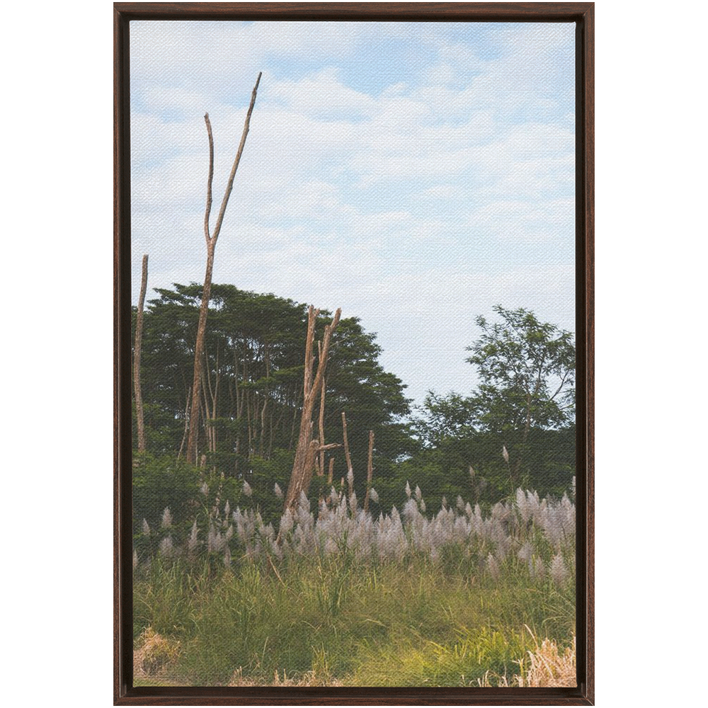Meadow Framed Canvas 18