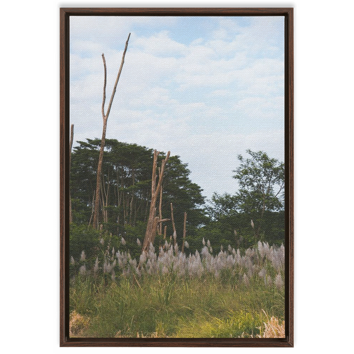 Meadow Framed Canvas 9