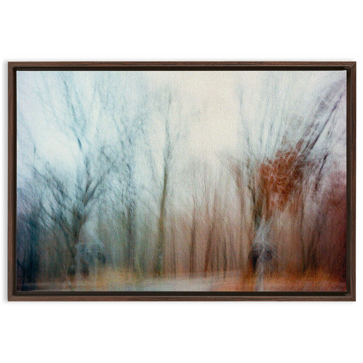 Ohio Framed Canvas Print 7