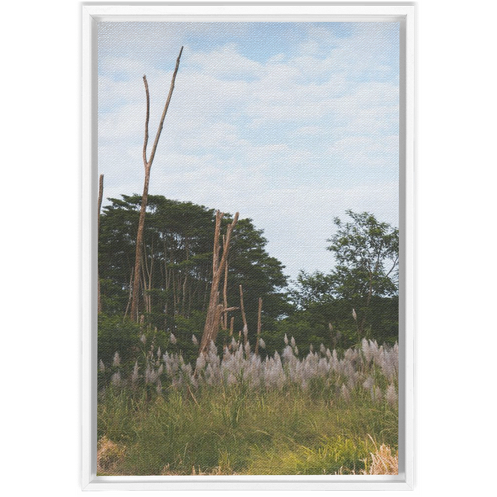 Meadow Framed Canvas 10