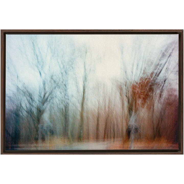 Ohio Framed Canvas Print 11