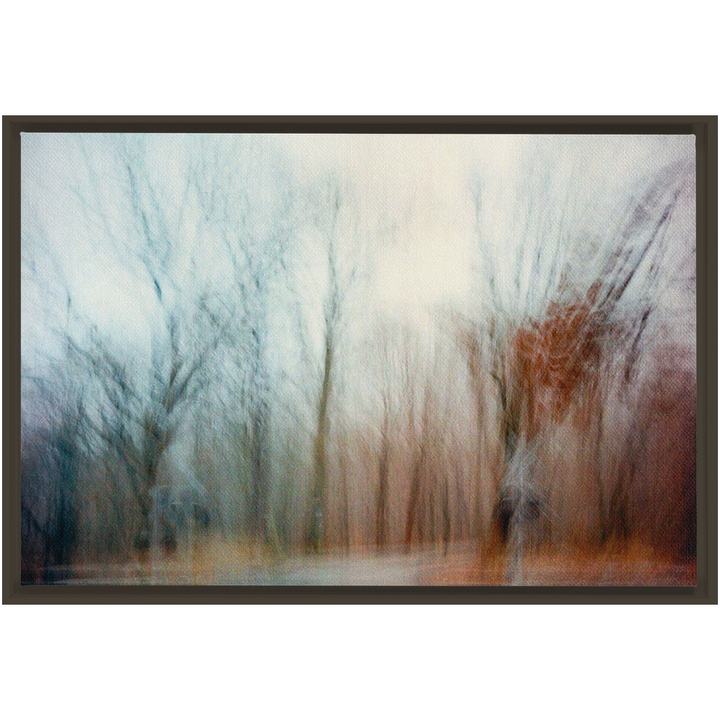 Ohio Framed Canvas Print 4