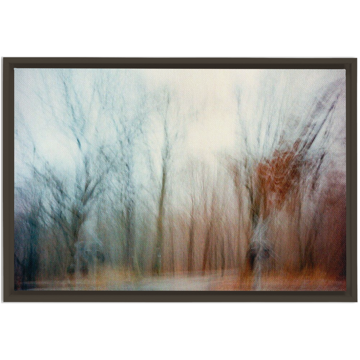 Ohio Framed Canvas Print 3