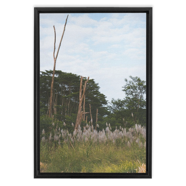 Meadow Framed Canvas 2