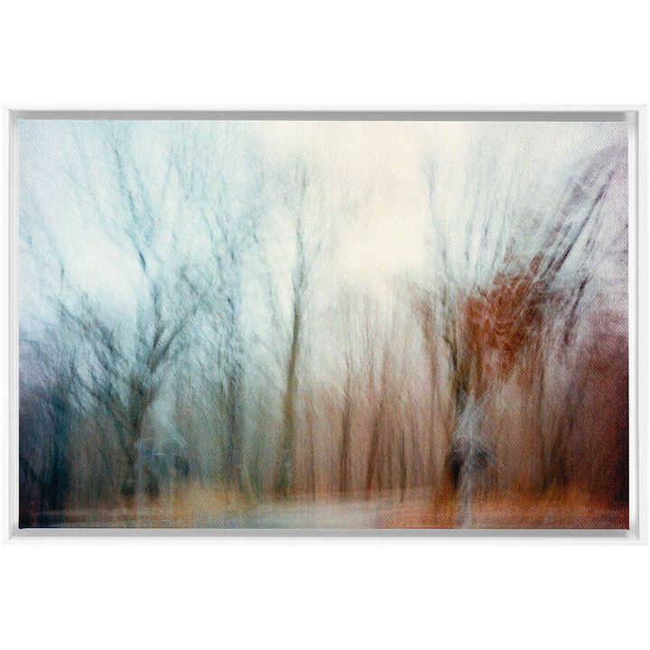Ohio Framed Canvas Print 12
