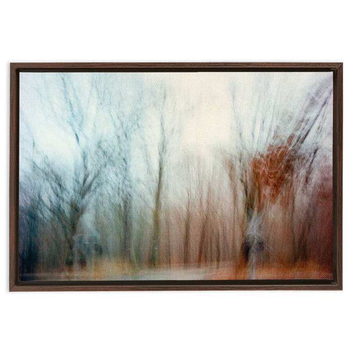 Ohio Framed Canvas Print 5