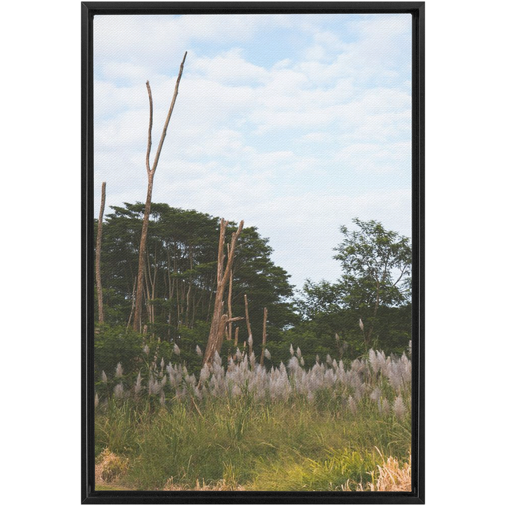 Meadow Framed Canvas 17