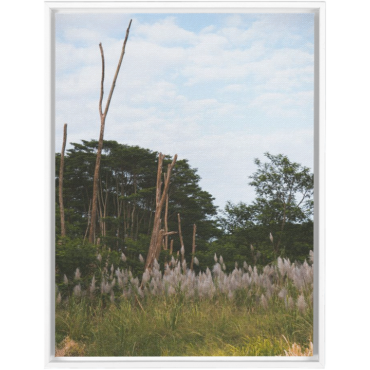 Meadow Framed Canvas 16