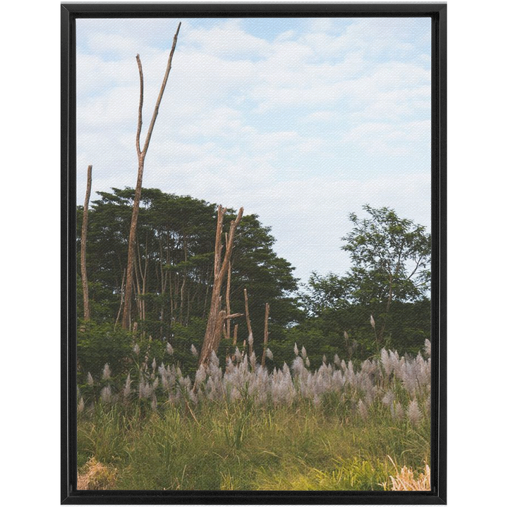 Meadow Framed Canvas 14