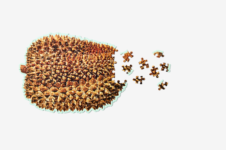 Little Puzzle Thing Durian 2