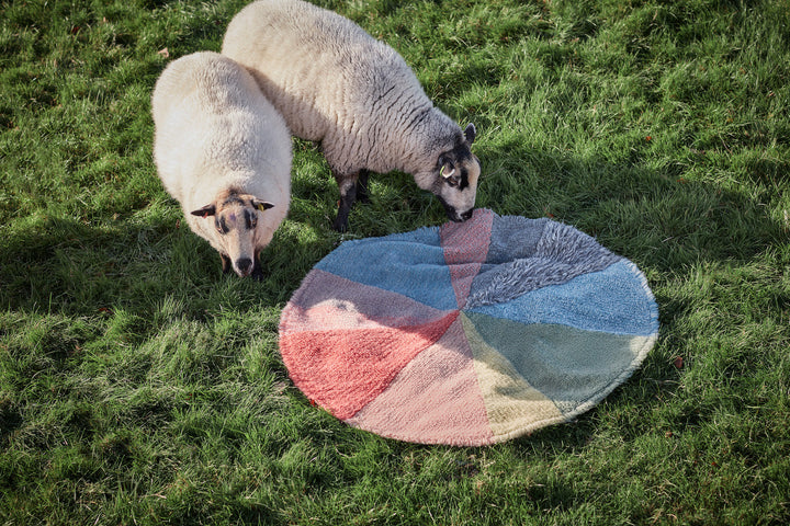 pie chart woolable rug by lorena canals wo pie rs 9
