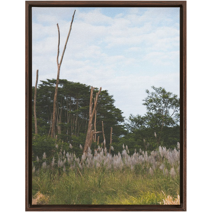 Meadow Framed Canvas 15