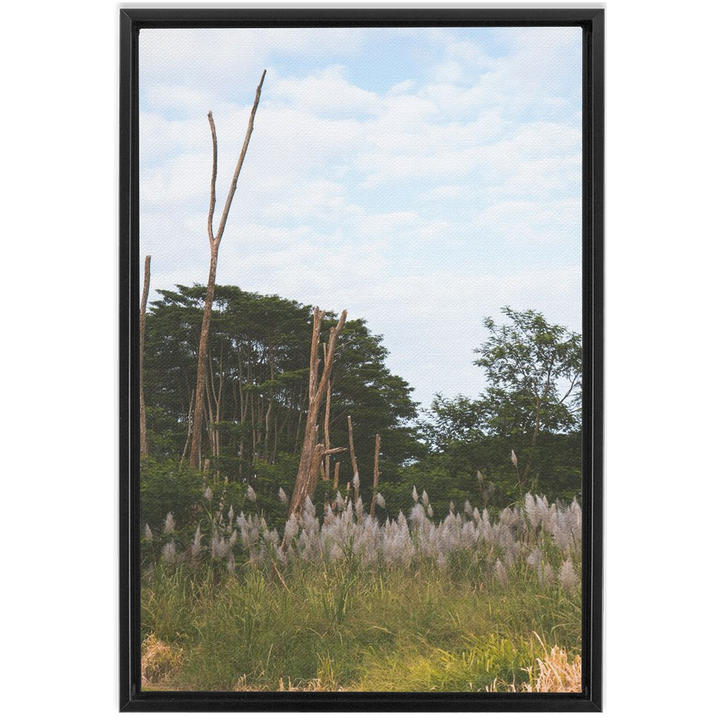 Meadow Framed Canvas 11