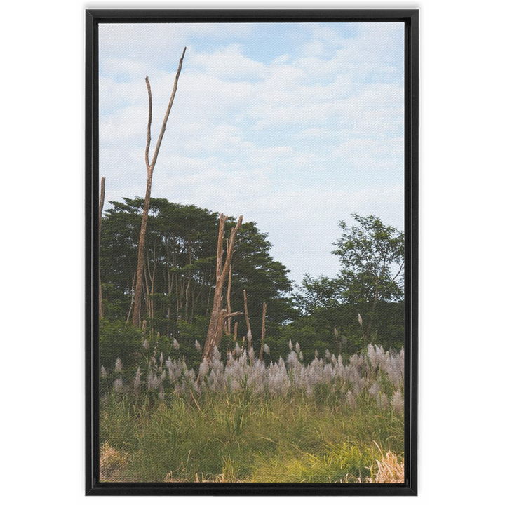 Meadow Framed Canvas 8