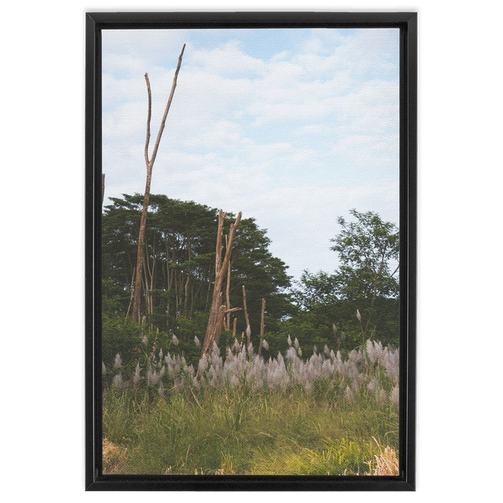 Meadow Framed Canvas 5