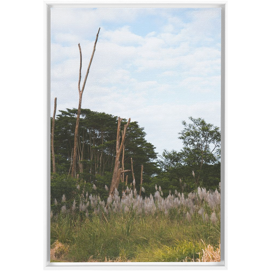 Meadow Framed Canvas 1