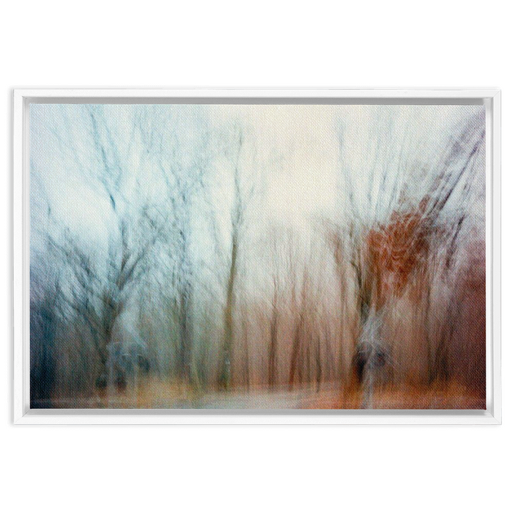 Ohio Framed Canvas Print 6