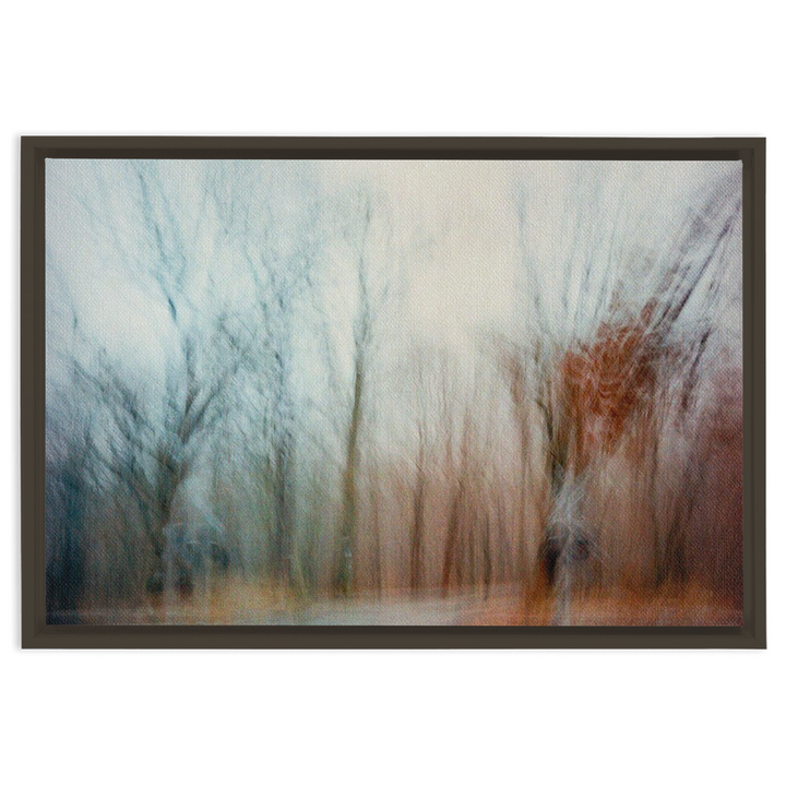 Ohio Framed Canvas Print 2