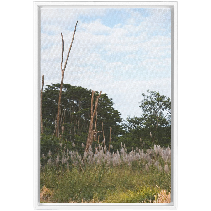 Meadow Framed Canvas 13