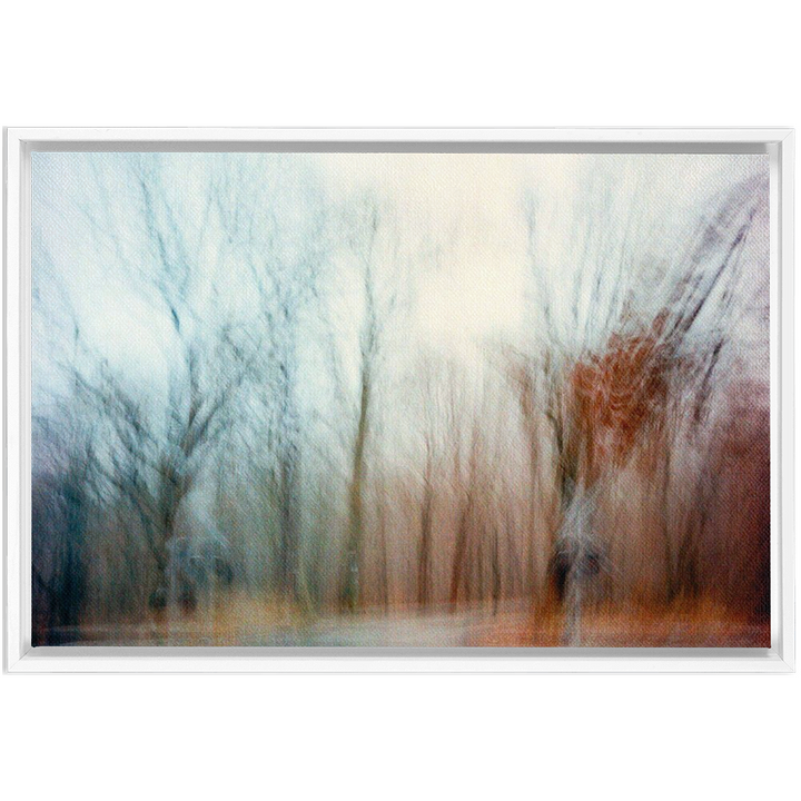 Ohio Framed Canvas Print 9