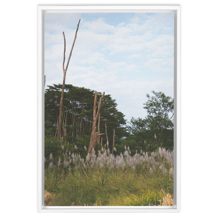 Meadow Framed Canvas 7