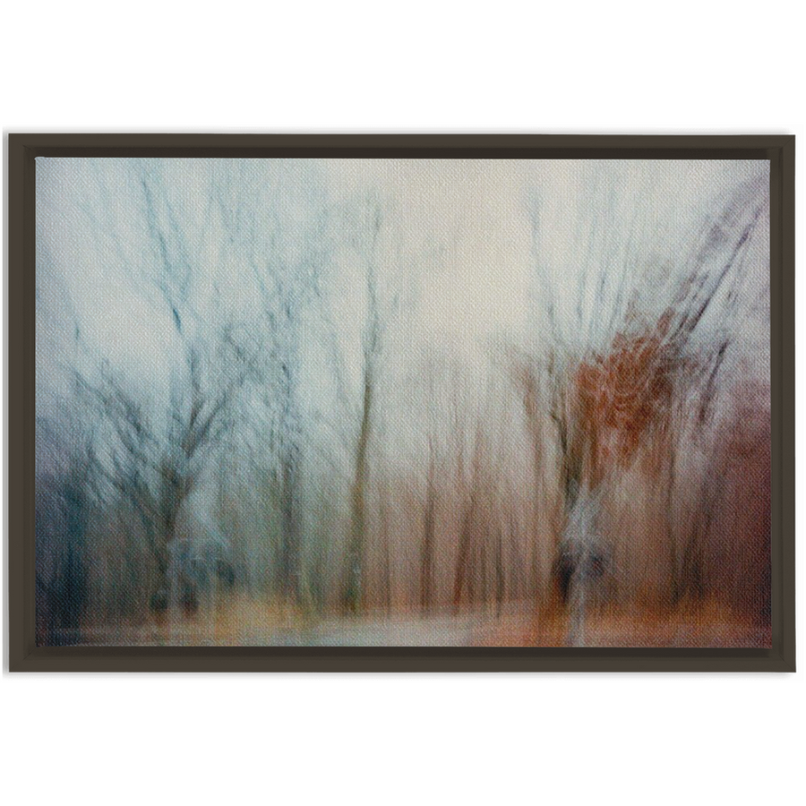 Ohio Framed Canvas Print 1