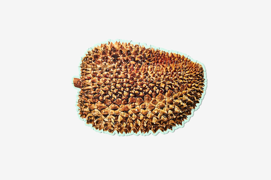 Little Puzzle Thing Durian 1