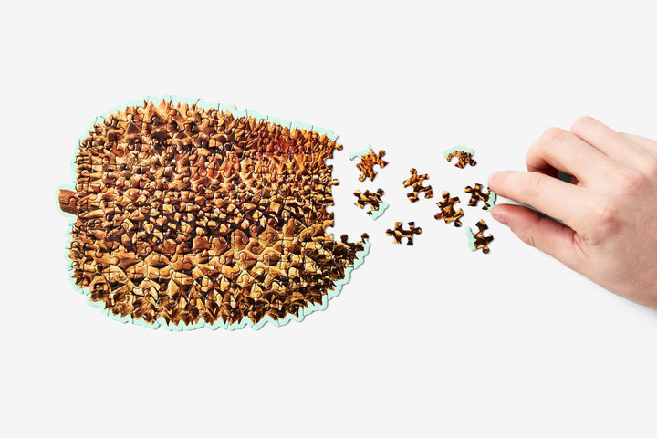 Little Puzzle Thing Durian 3