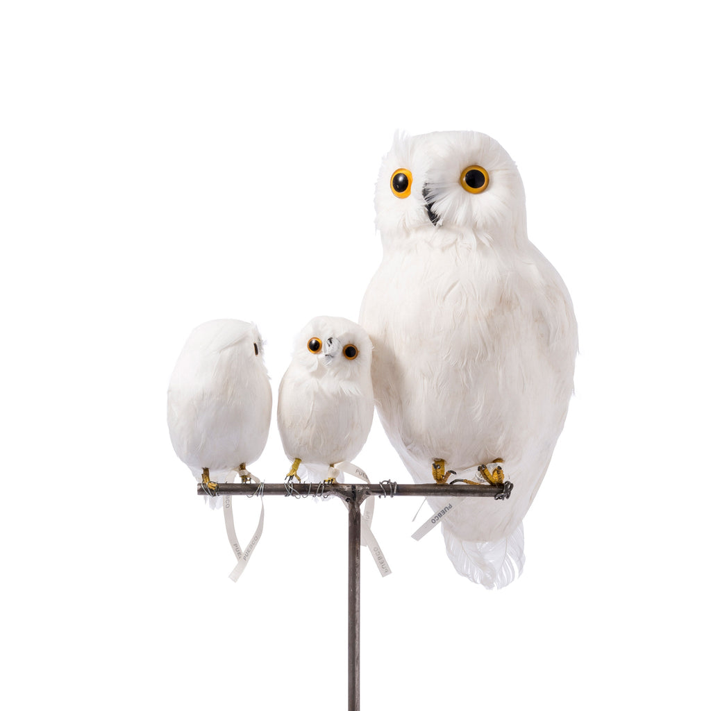 artificial birds owl white design by puebco 4