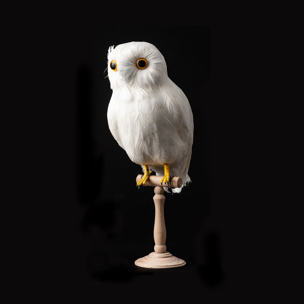 artificial bird small white owl side design by puebco 2
