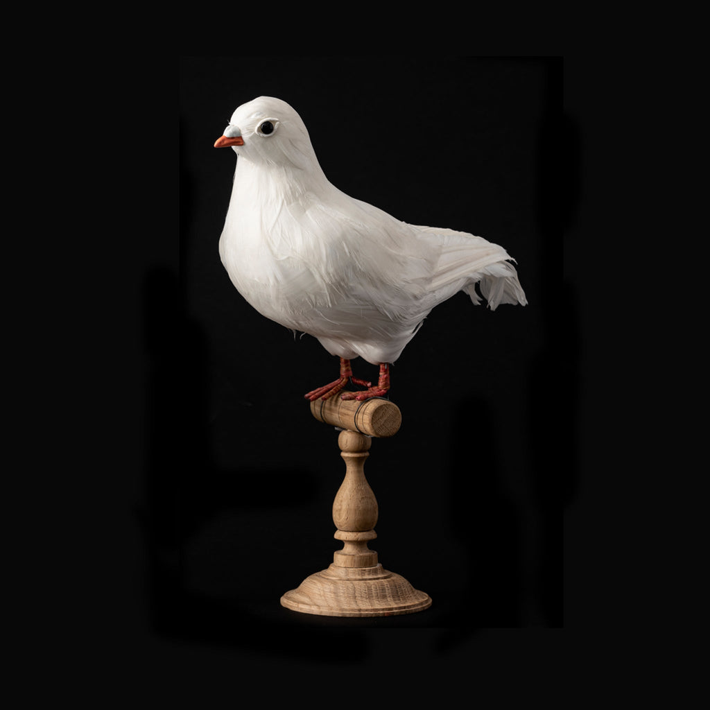 dove large design by puebco 1