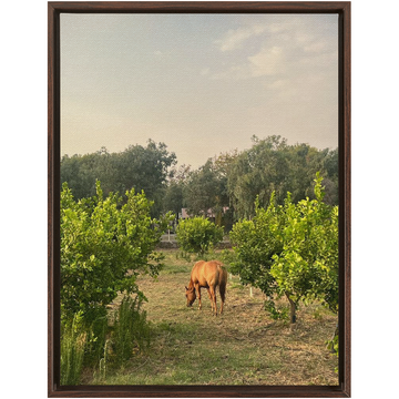 Sicilian Farm Framed Canvas 1