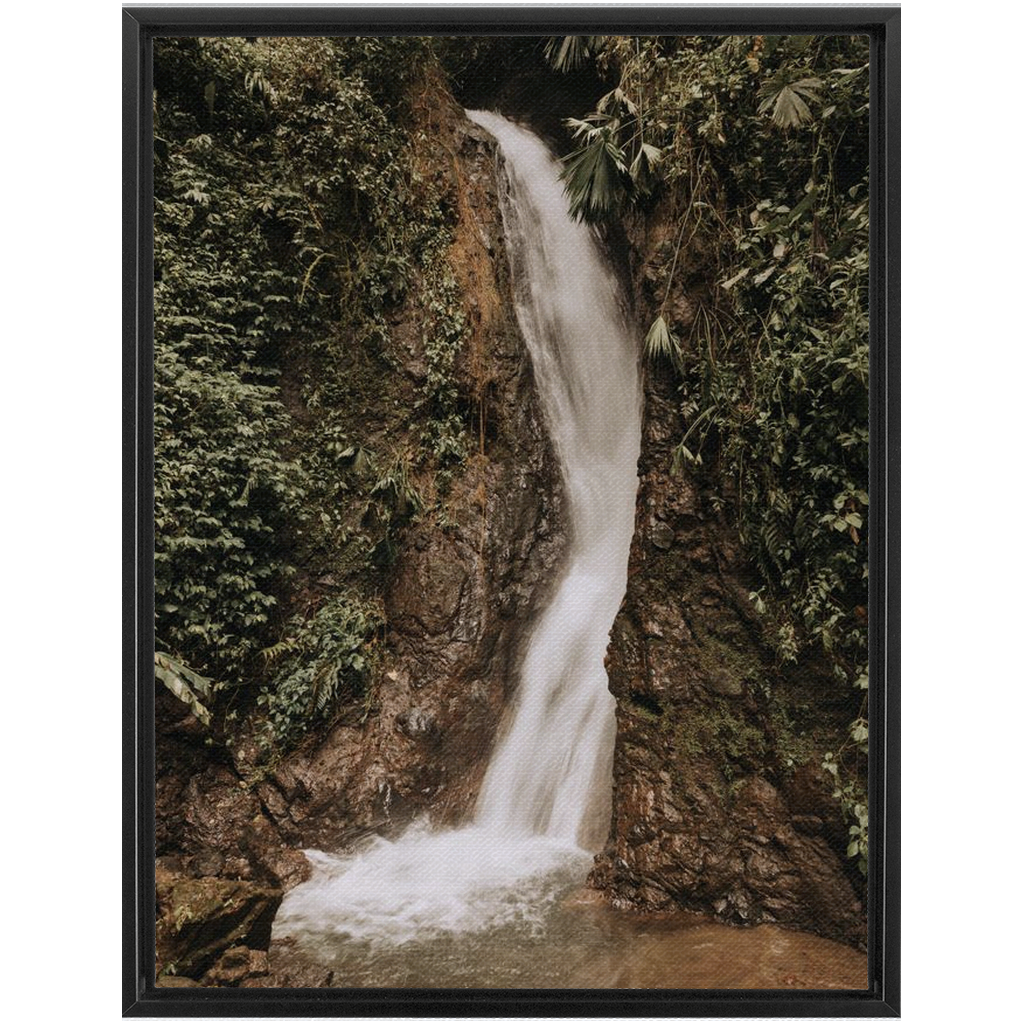 La Fortuna Framed Canvas