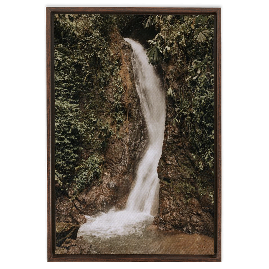 La Fortuna Framed Canvas