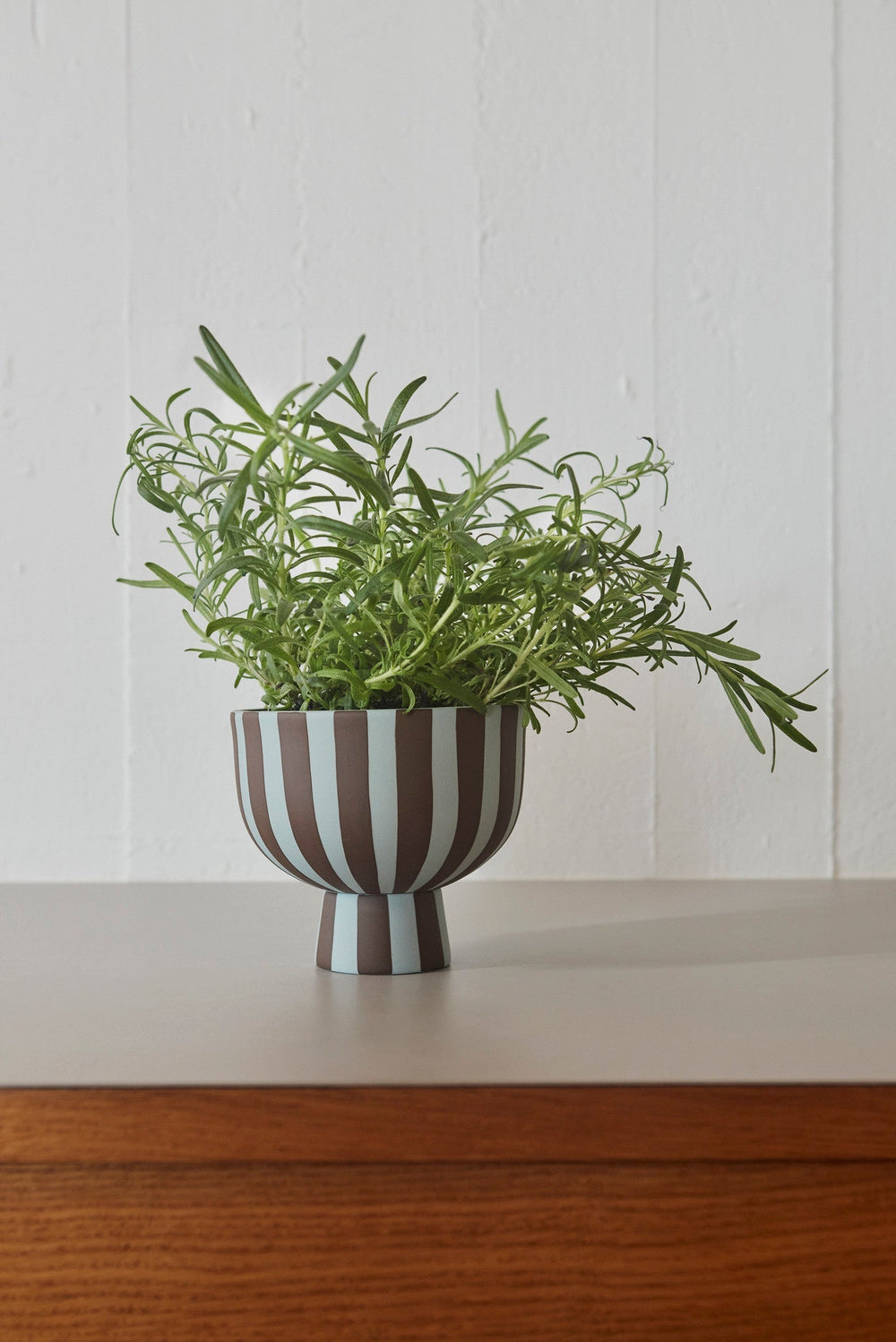 Toppu Bowl Dusty Blue Choko 2