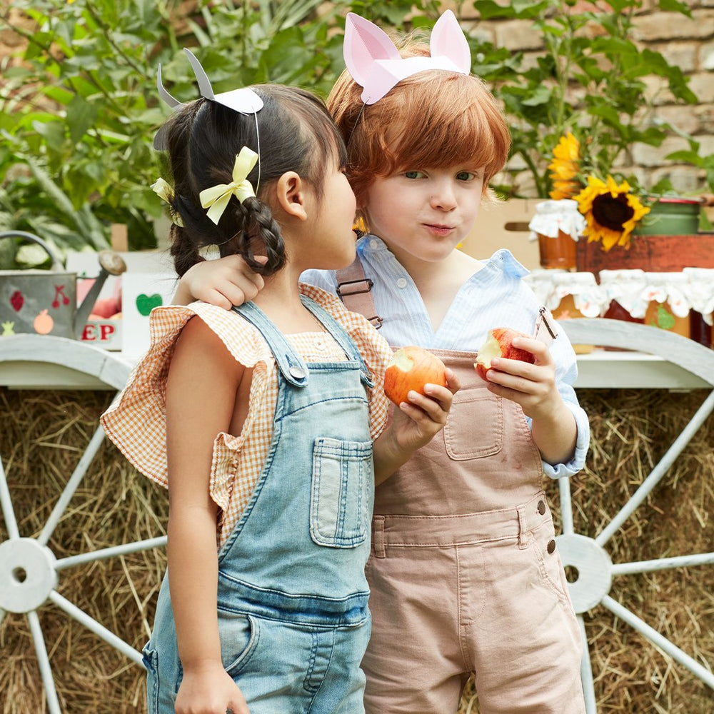 On The Farm Animal Ears By Meri Meri 6