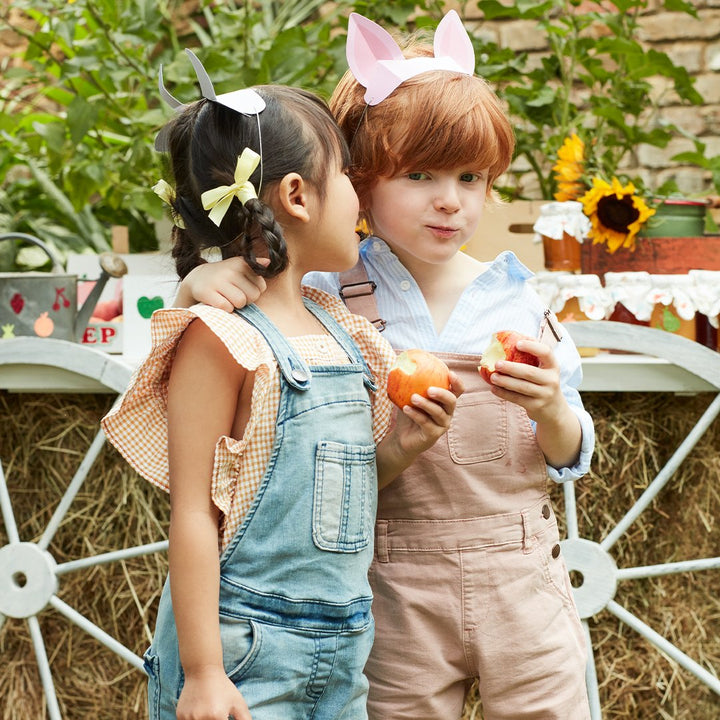 On The Farm Animal Ears By Meri Meri 6