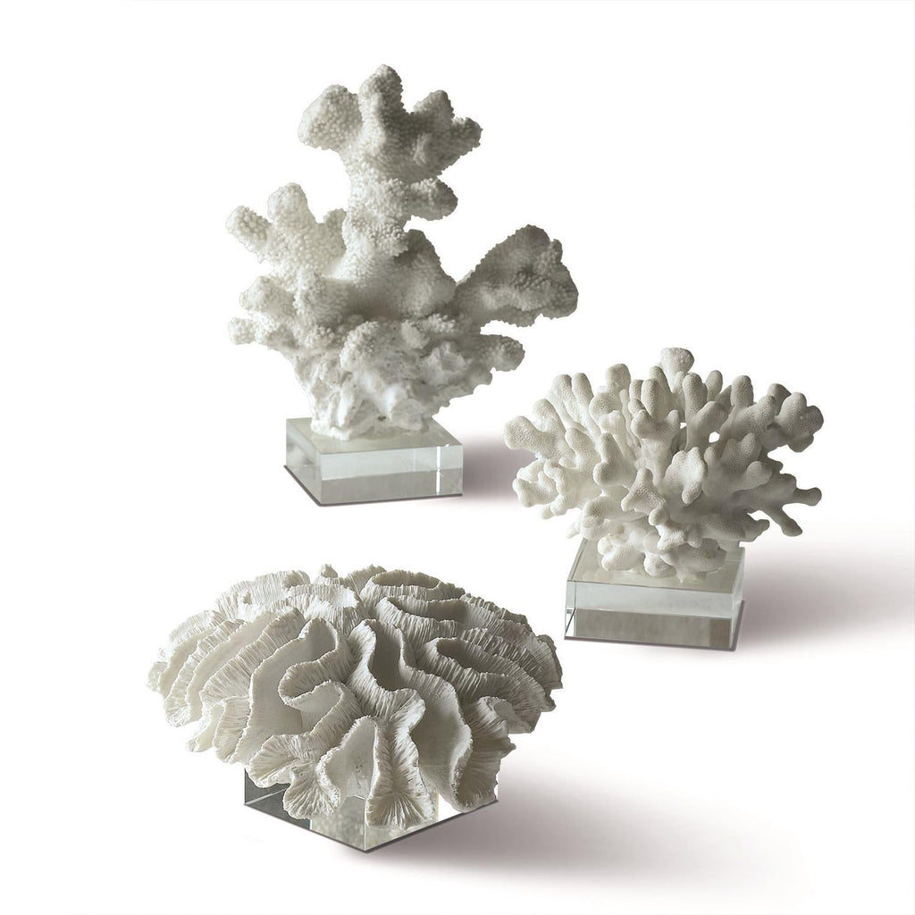 white coral sculpture on glass stands by twos company 1