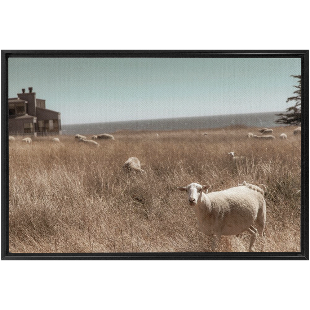 Sea Ranch Framed Canvas 14