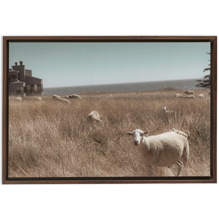 Sea Ranch Framed Canvas 8