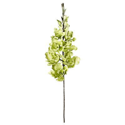 desert gladiolus 14 bloom 50 stem in green design by torre tagus 2
