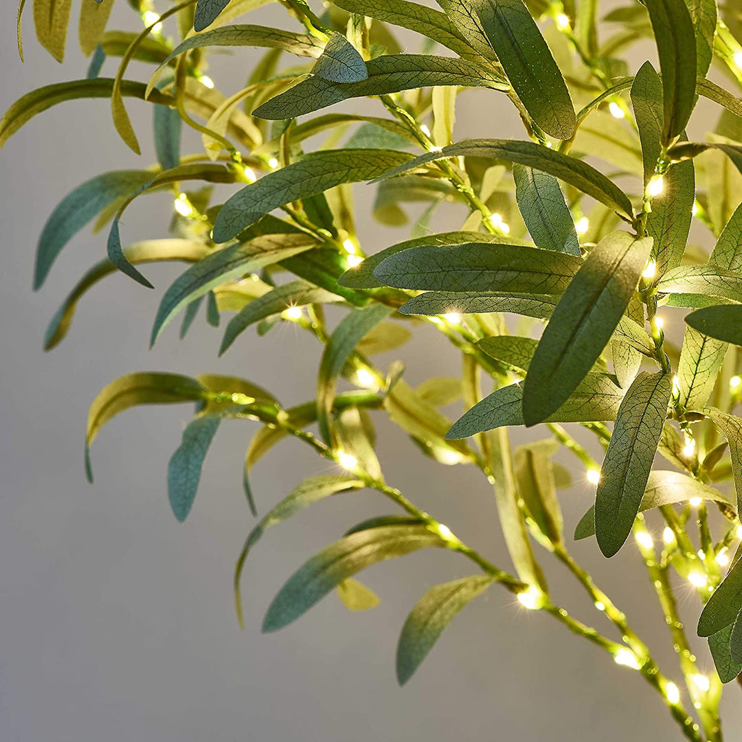 Festive Olive Tree 3