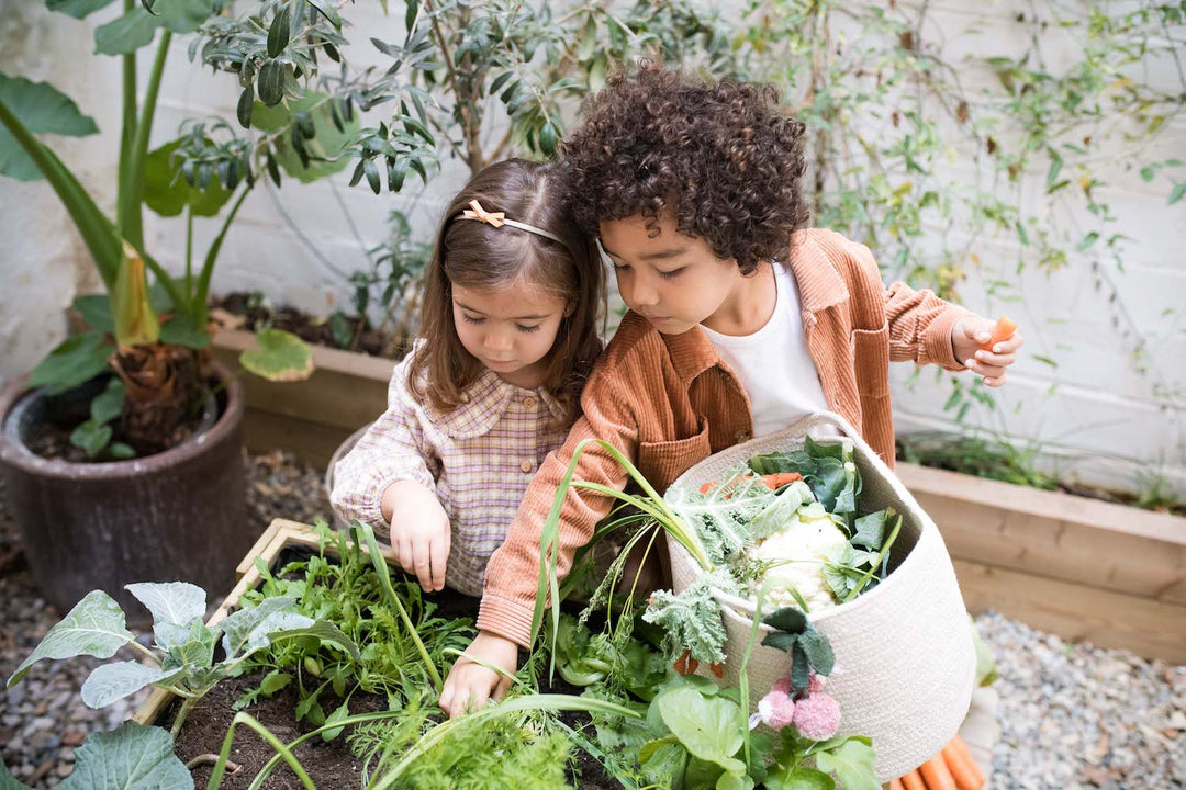 basket veggies by lorena canals bsk veggies 10