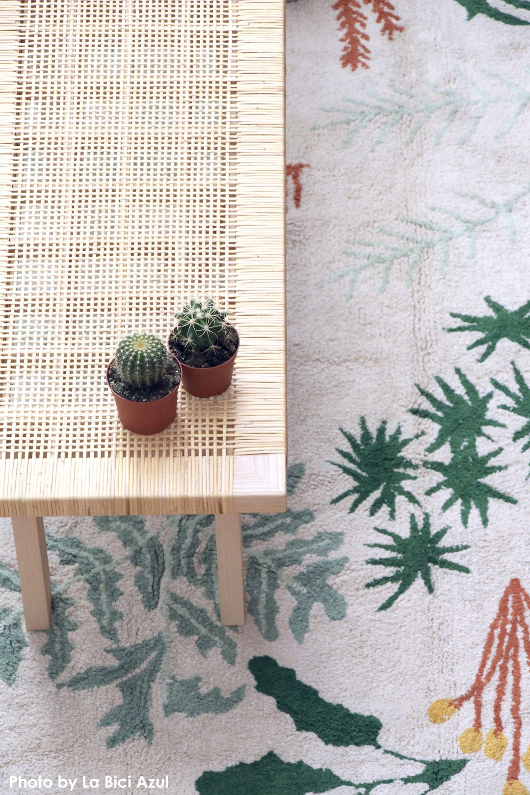 Botanic Plants Rug design by Lorena Canals