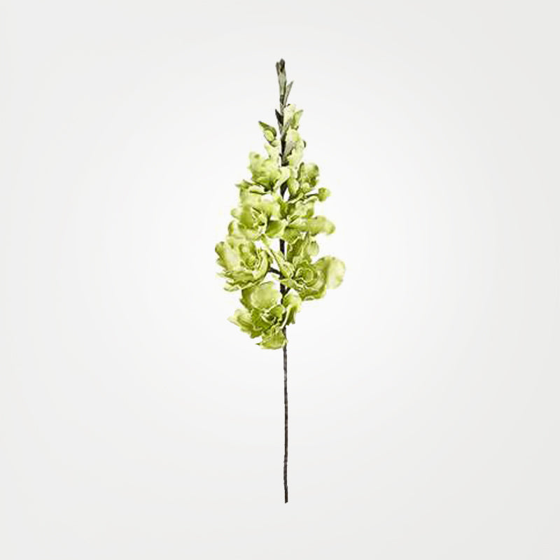 desert gladiolus 14 bloom 50 stem in green design by torre tagus 1