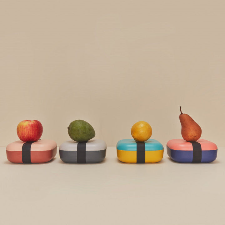Go Bamboo Fiber Duo Color Snack Box in Various Colors design by EKOBO